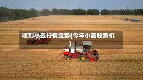 收割小麦行情走势(今年小麦收割机)-第2张图片