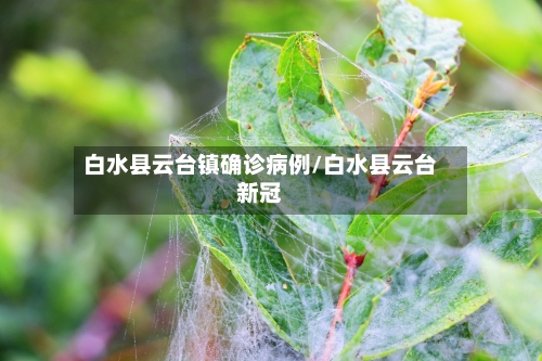 白水县云台镇确诊病例/白水县云台新冠-第3张图片