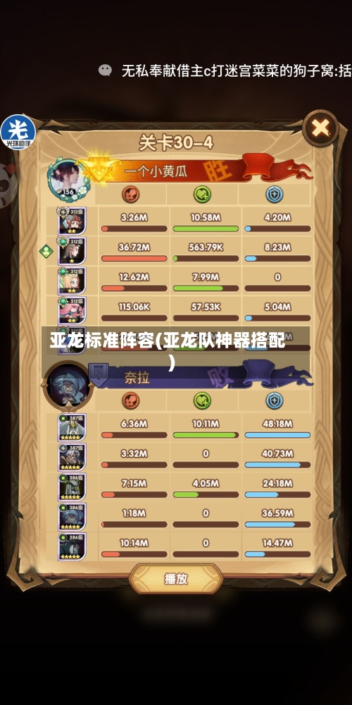 亚龙标准阵容(亚龙队神器搭配)