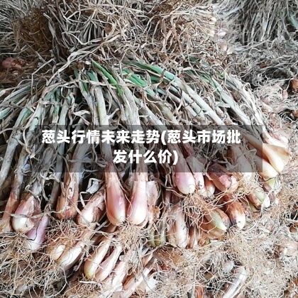 葱头行情未来走势(葱头市场批发什么价)-第2张图片