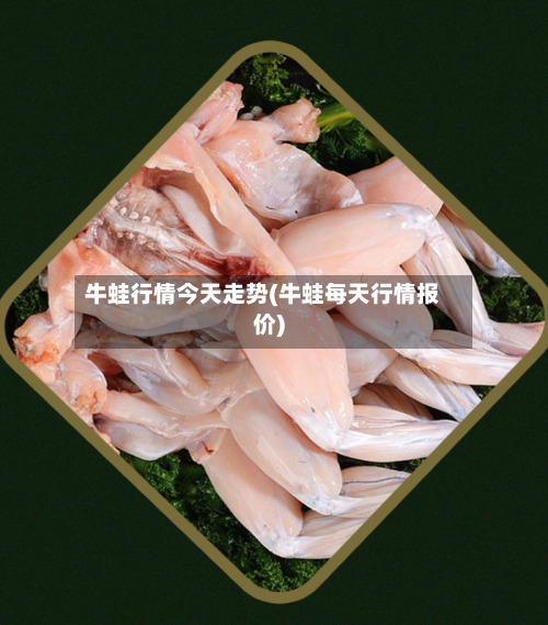 牛蛙行情今天走势(牛蛙每天行情报价)