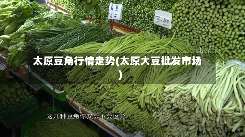太原豆角行情走势(太原大豆批发市场)
