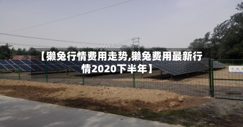 【獭兔行情费用走势,獭兔费用最新行情2020下半年】