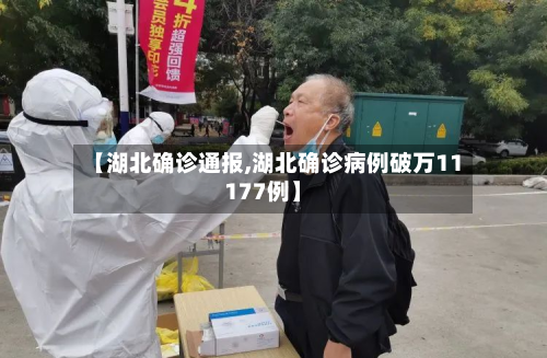【湖北确诊通报,湖北确诊病例破万11177例】