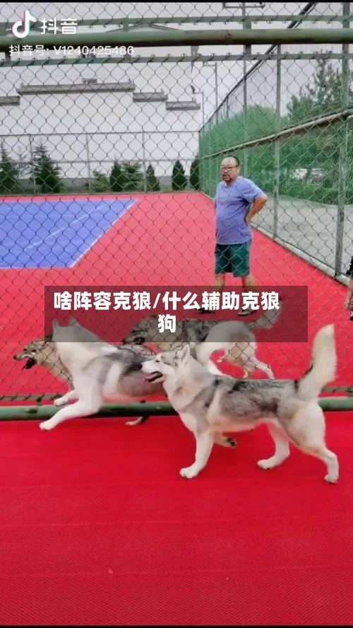 啥阵容克狼/什么辅助克狼狗-第2张图片