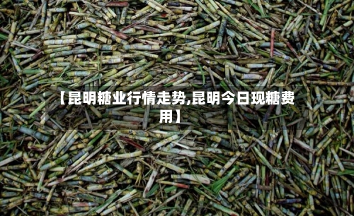 【昆明糖业行情走势,昆明今日现糖费用】-第2张图片