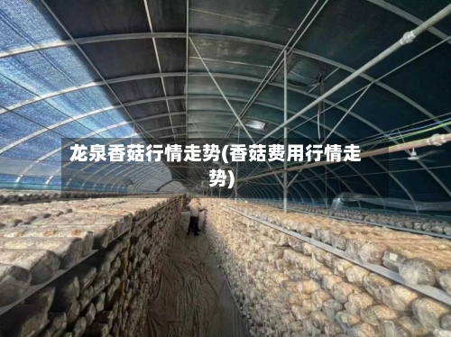 龙泉香菇行情走势(香菇费用行情走势)-第3张图片