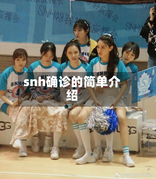 snh确诊的简单介绍