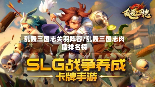 乱轰三国志关羽阵容/乱轰三国志肉盾排名榜