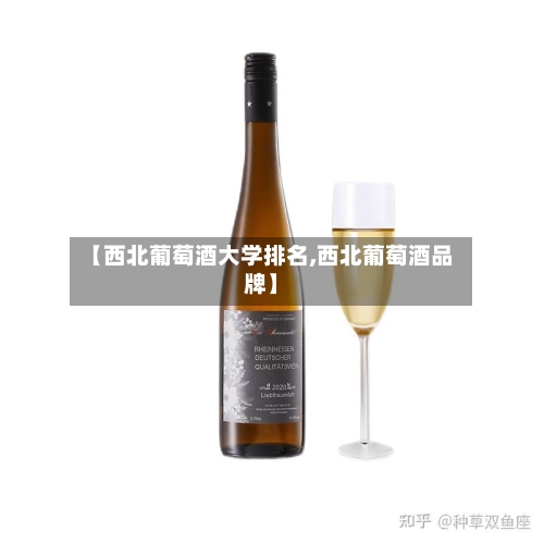 【西北葡萄酒大学排名,西北葡萄酒品牌】