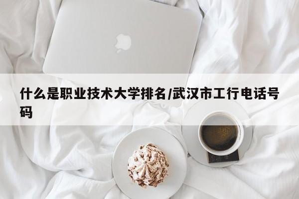 什么是职业技术大学排名/武汉市工行电话号码