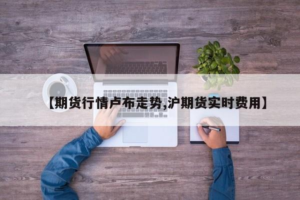 【期货行情卢布走势,沪期货实时费用】