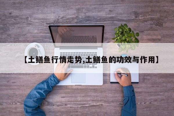 【土鳝鱼行情走势,土鳝鱼的功效与作用】