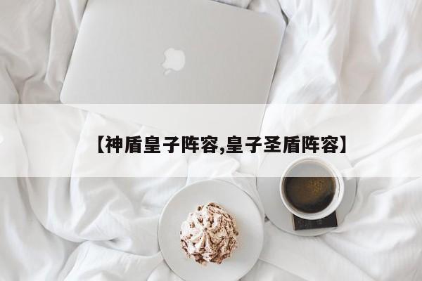【神盾皇子阵容,皇子圣盾阵容】