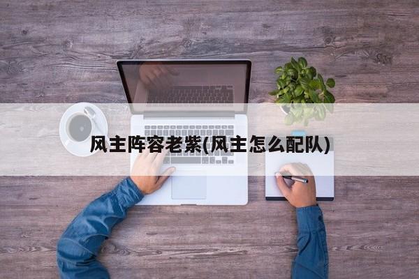风主阵容老紫(风主怎么配队)