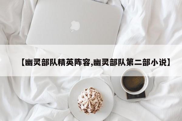 【幽灵部队精英阵容,幽灵部队第二部小说】