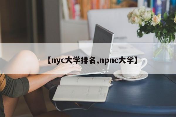 【nyc大学排名,npnc大学】
