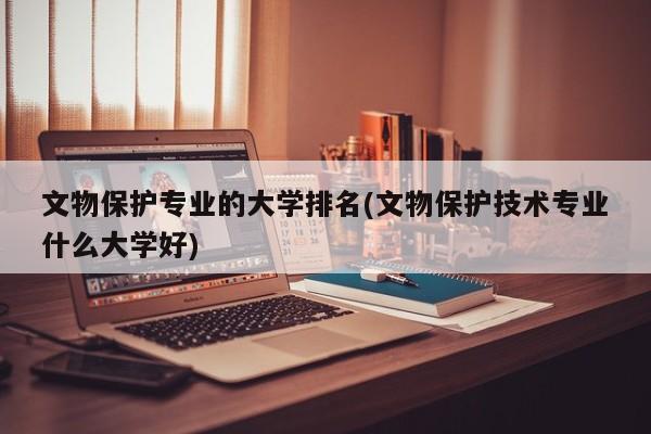 文物保护专业的大学排名(文物保护技术专业什么大学好)